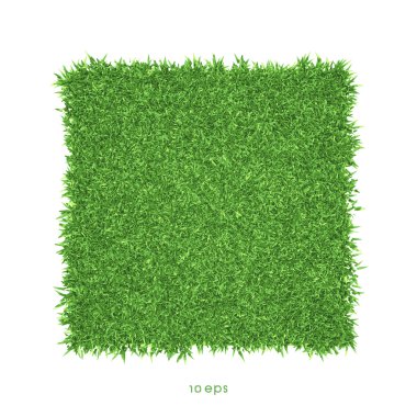 Vector - Green grass background illustration clipart
