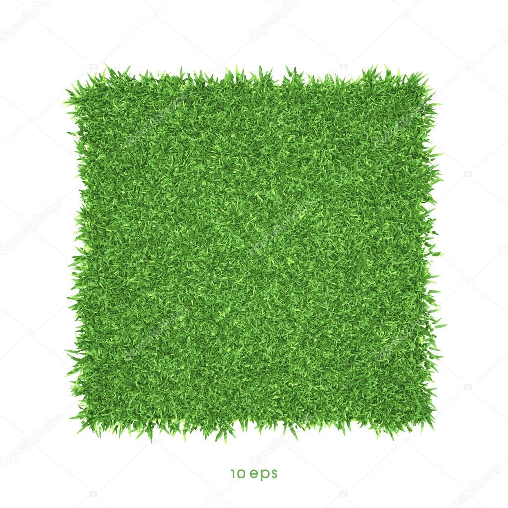 Vector - Green grass background illustration