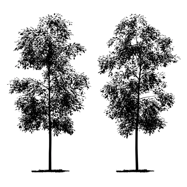 Векторный рисунок дерева - детальный вектор — стоковый вектор