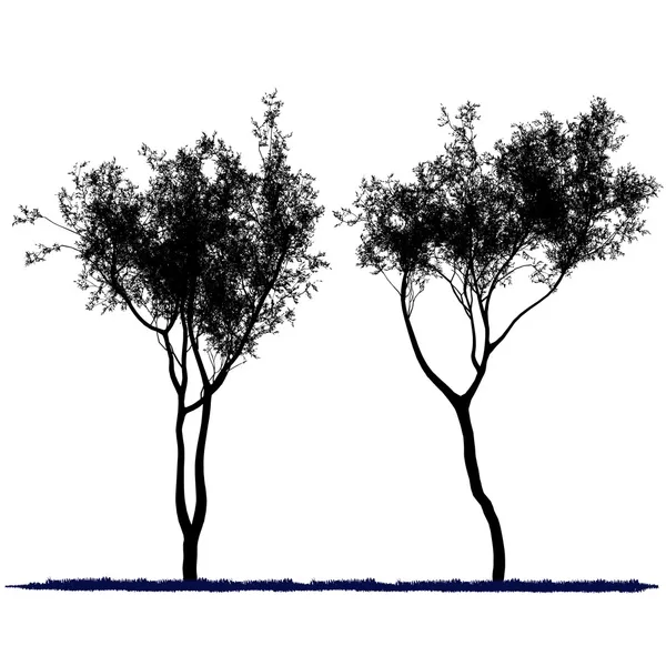 Векторный рисунок дерева - детальный вектор — стоковый вектор