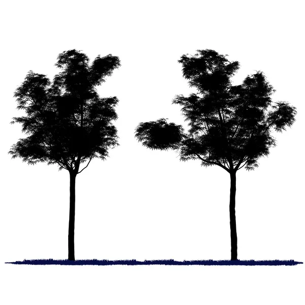 Dibujo vectorial del árbol - vector detallado — Vector de stock