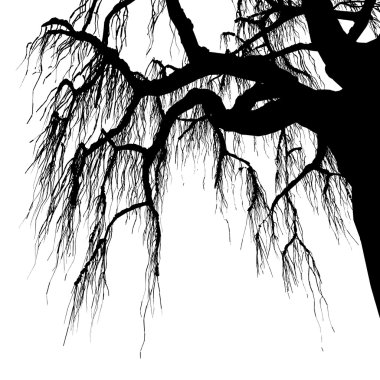 ağacı - detaylı vektör çizim vektör