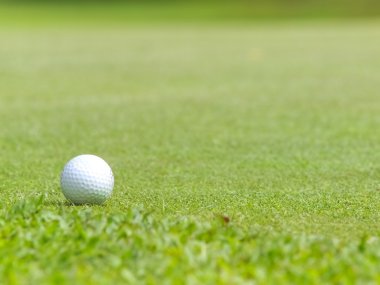 Yeşil tişört üzerinde eski golf topu