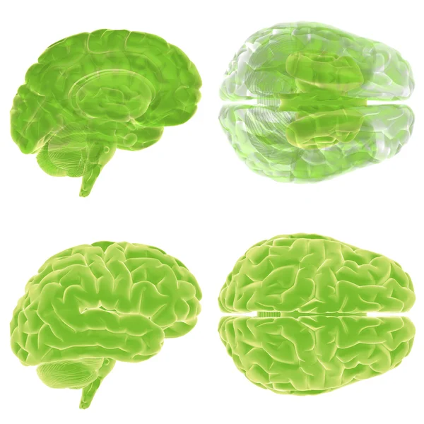 Tänk grönt, 3d hjärnan ställa in — Stockfoto