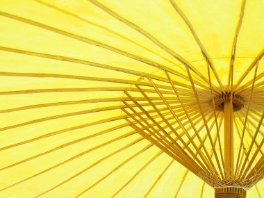 Sarı şemsiye
