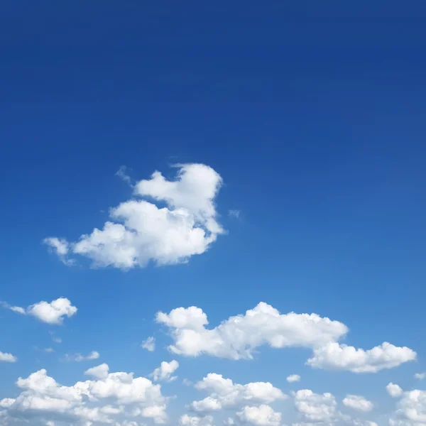 The beautiful sky with white clouds.