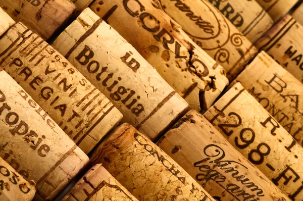 Corks from wine bottles — Stock Photo, Image