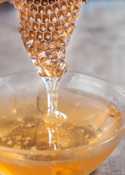 Peine de abeja —  Fotos de Stock