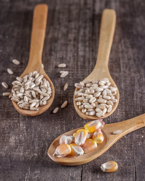 Sweet corn on a wood spoon — Stock Photo, Image