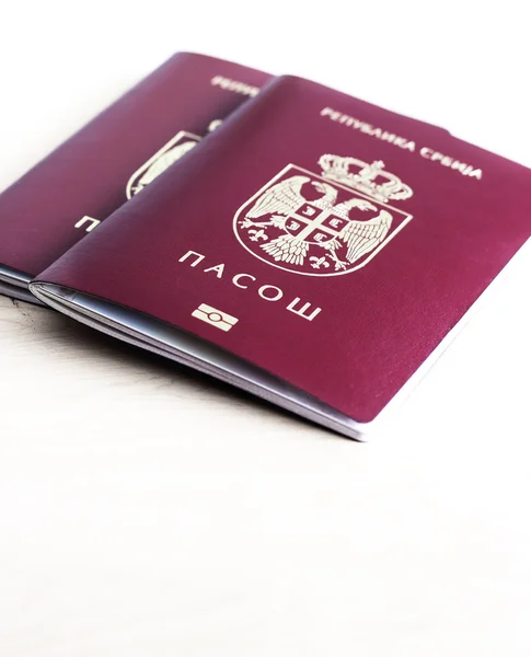 Serbiska passport — Stockfoto