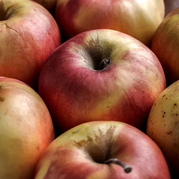 Apples close up — Stock Photo, Image