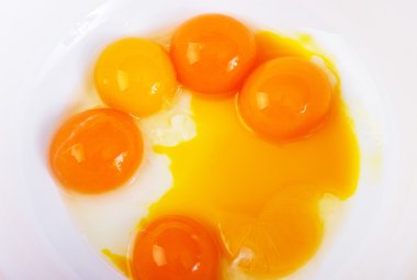 kırık yumurta grubu