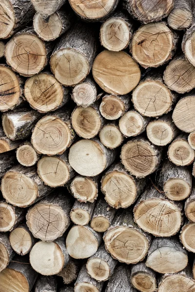 Gehakte brandhout logboeken — Stockfoto