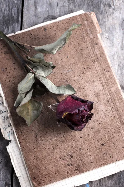 Сушеная роза на старом блокноте — стоковое фото