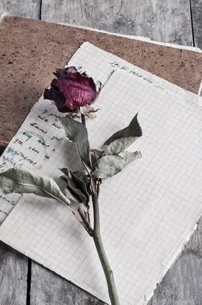 Dried rose on old notebook — Stock Photo, Image