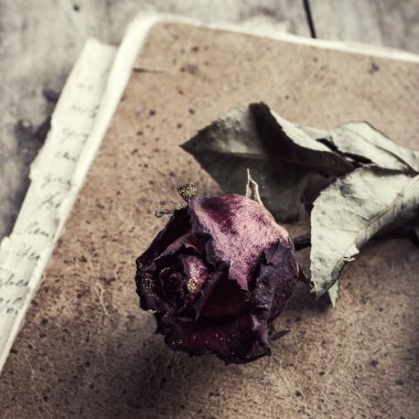 tablo üzerinde kurutulmuş gül