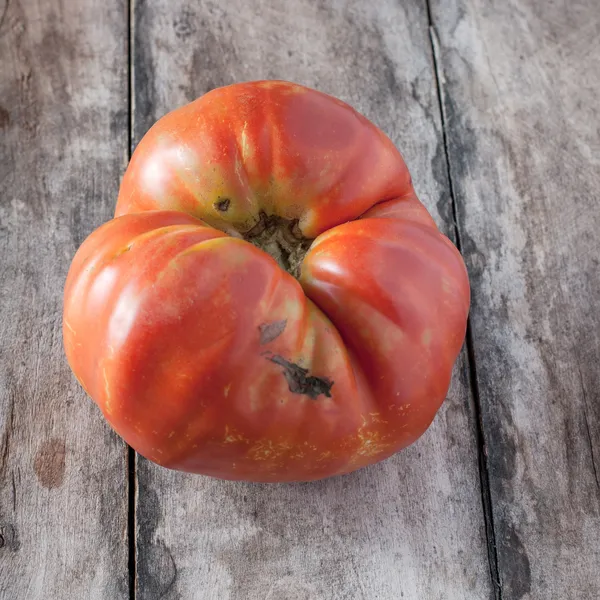 Zelfgemaakte biologische tomaten — Stockfoto