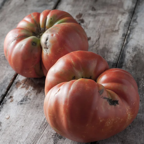 Tomate orgânico caseiro — Fotografia de Stock