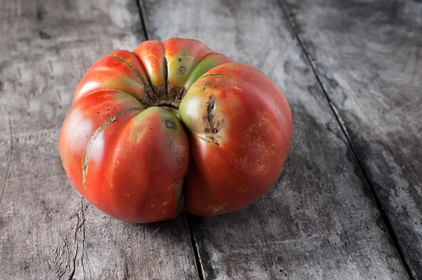 国产有机番茄 — 图库照片