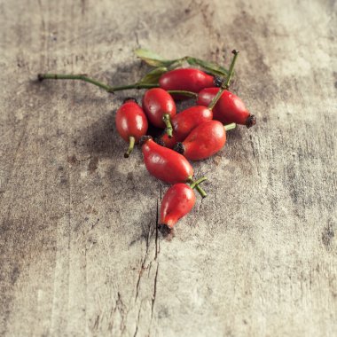 Rose HIPS