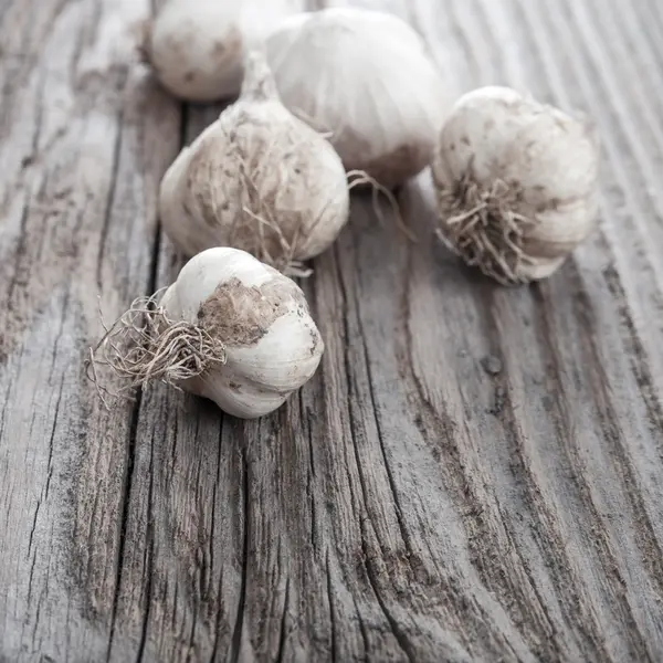 Garlic on old wooden table — Stock Photo, Image