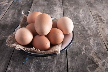 taze organik yumurta