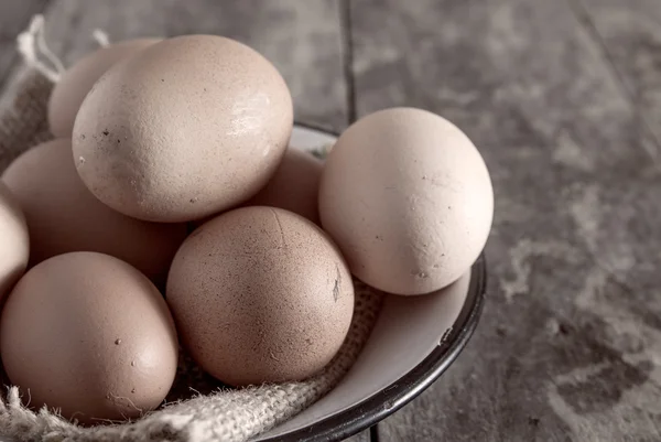 Frische Bio-Eier — Stockfoto