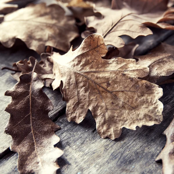 Dry leaves on a wooden floor — Stock Photo, Image