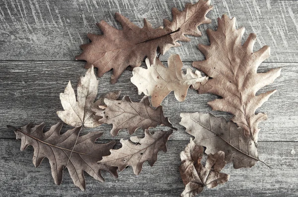 Dry leaves on a wooden floor — Stock Photo, Image