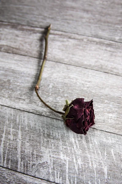 Getrocknete Rose auf alten Holzplatten — Stockfoto