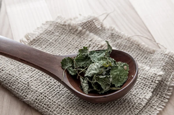 Dried lemon balm — Stock Photo, Image