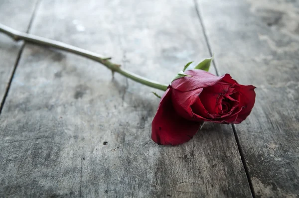 Rosa roja sobre fondo de madera viejo, —  Fotos de Stock