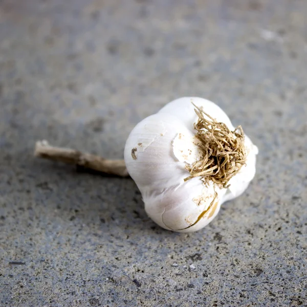 Garlic bulb on a gray raw stone table — Stock Photo, Image