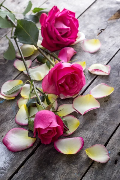 Лепестки роз и роз лежат на деревянном столе — стоковое фото