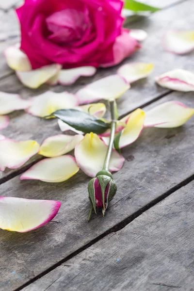 Rosen- und Rosenblätter auf einem Holztisch liegend — Stockfoto