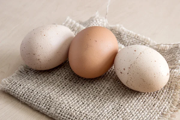 Bio-Eier — Stockfoto