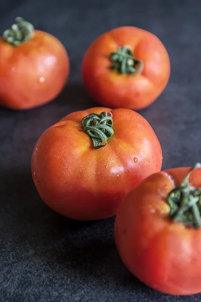 トマトの収穫. — ストック写真