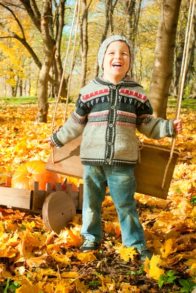 Excited little boy on a swing outdoor — Stock Photo, Image