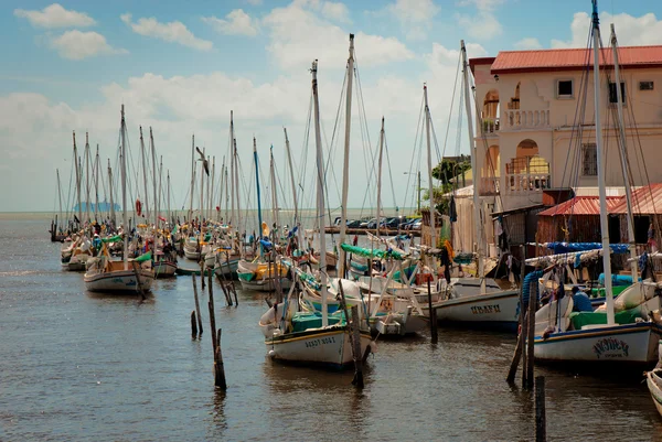 Rij van witte jachten in de haven, belize city — Stockfoto