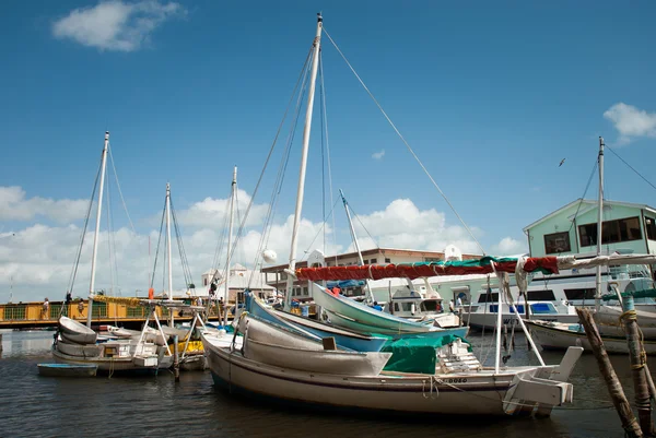 Reihe weißer Yachten im Hafen, belize Stadt — Stockfoto