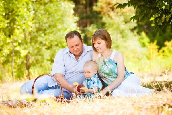 Ευτυχισμένη οικογένεια, έχοντας ένα πικνίκ στο πάρκο καλοκαίρι — Φωτογραφία Αρχείου