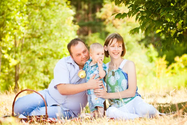 Gelukkige familie met een picknick in zomer park — Stockfoto