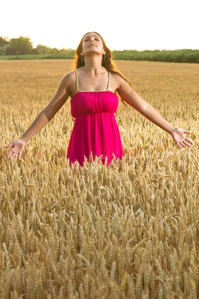 Beautiful woman enjoy in field of wheat — Stock Photo, Image