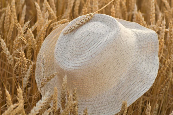 Hat on the wheat — Stock Photo, Image