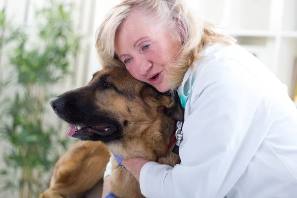 Usmíval se vedoucí lékař objímání psa německého ovčáka — Stock fotografie