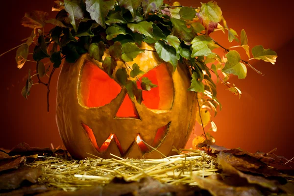 Zucche di Halloween — Foto Stock