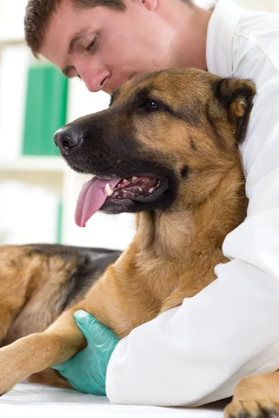 Tierarzt umarmt Hund — Stockfoto