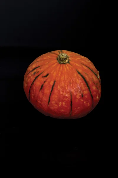 Fresh pumpkin — Stock Photo, Image