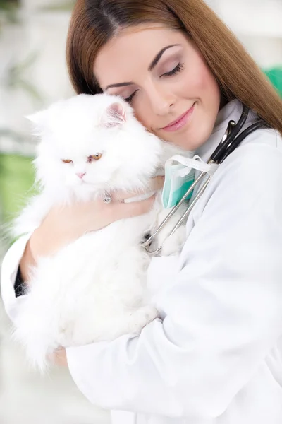 Ветеринар с закрытыми глазами, обнимающий белого персидского кота — стоковое фото