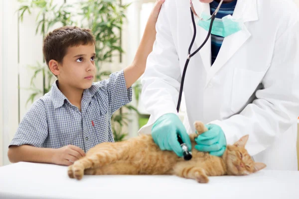 Ein kleiner Junge mit seiner Katze beim Tierarzt — Stockfoto